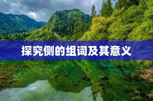 探究侧的组词及其意义 探究侧的组词及其意义