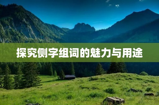 探究侧字组词的魅力与用途