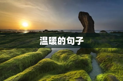 温暖的句子:让心灵得到安慰的话语