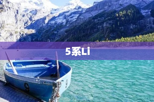5系Li：豪华轿车的代表