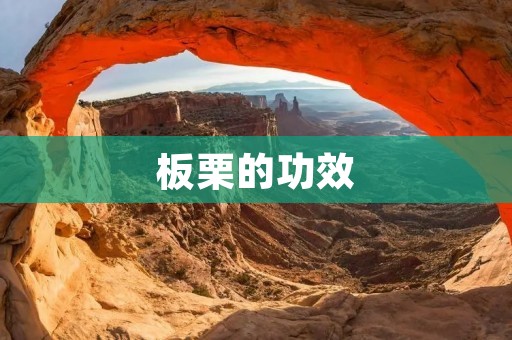 板栗的功效：让你健康又美味