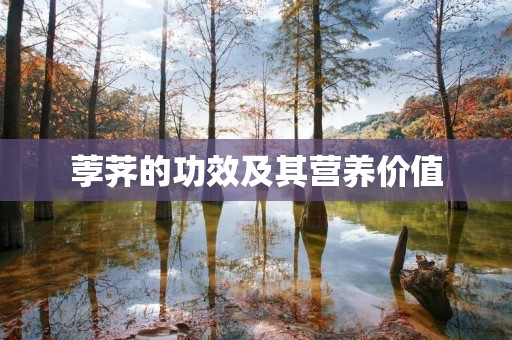 荸荠的功效及其营养价值