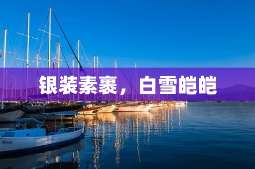 银装素裹,白雪皑皑