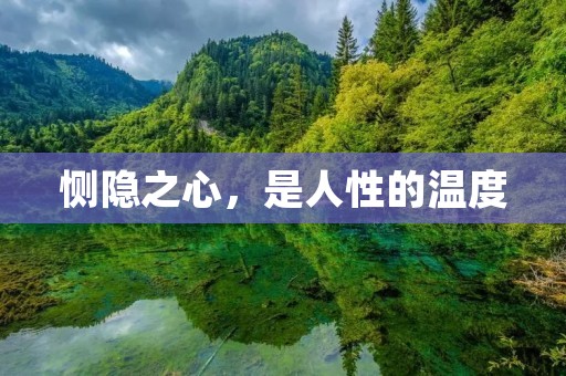 恻隐之心，是人性的温度