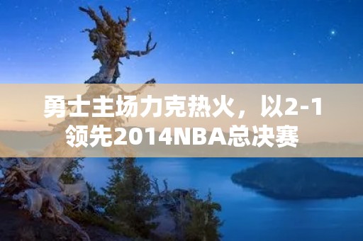 勇士主场力克热火，以2-1领先2014NBA总决赛
