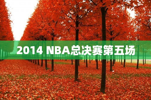 2014 NBA总决赛第五场:热火VS马刺 2014 NBA总决赛第五场:热火VS马刺