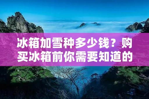冰箱加雪种多少钱？购买冰箱前你需要知道的事情