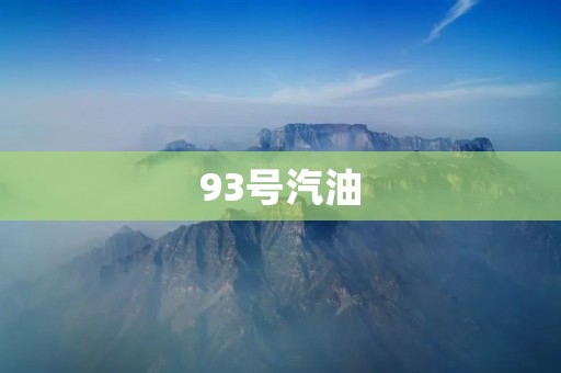 93号汽油：高性能动力的首选燃料
