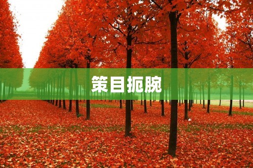策目扼腕：为什么好的策略总是难以实现？