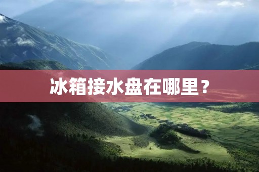 冰箱接水盘在哪里? 冰箱接水盘在哪里?