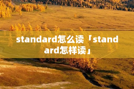 standard怎么读「standard怎样读」