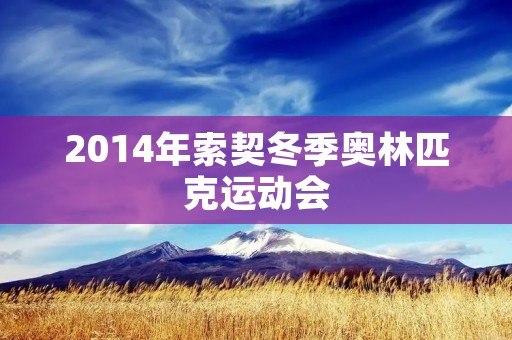 2014年索契冬季奥林匹克运动会