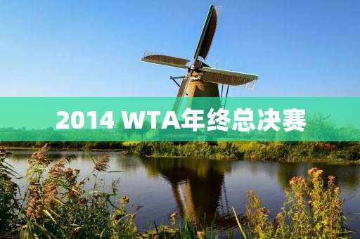 2014 WTA年终总决赛：女子网球巅峰之战