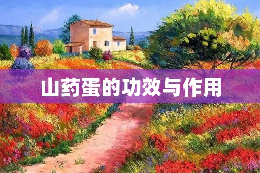 山药蛋的功效与作用