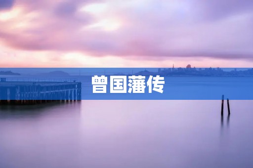 曾国藩传：一位伟大的政治家和军事家