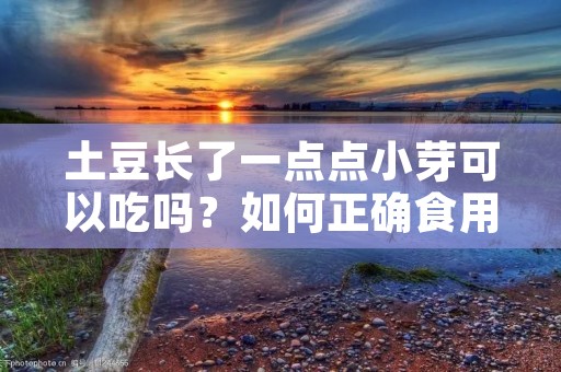 土豆长了一点点小芽可以吃吗?如何正确食用土豆芽?