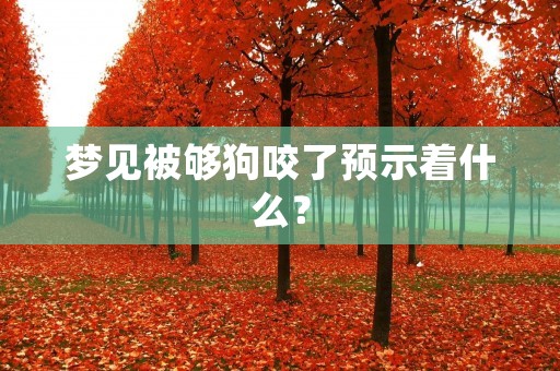 梦见被够狗咬了预示着什么？