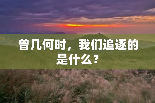 曾几何时,我们追逐的是什么? 曾几何时,我们追逐的是什么?