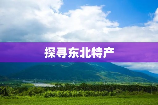 探寻东北特产:美食胜地