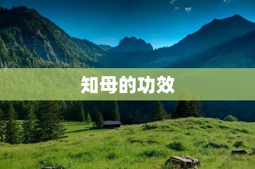 知母的功效：解毒清热，润肺止咳，补脑安神