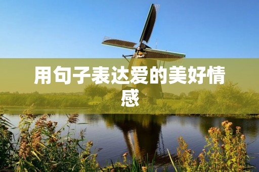 用句子表达爱的美好情感