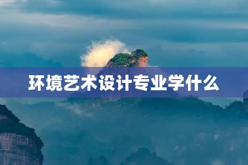 环境艺术设计专业学什么