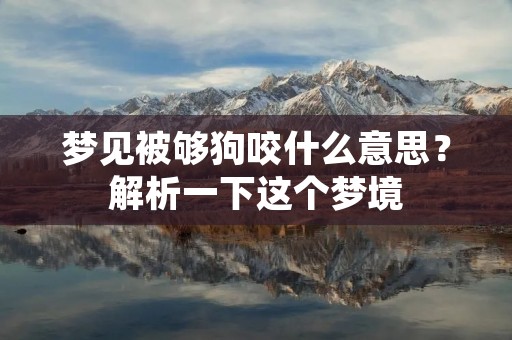 梦见被够狗咬什么意思？解析一下这个梦境