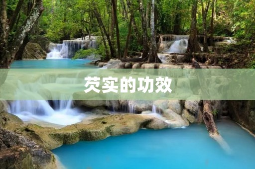芡实的功效：提高免疫力，抗氧化，调节血糖