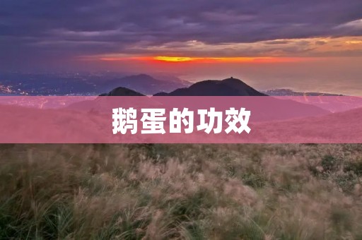鹅蛋的功效：健康饮食必备美味佳品