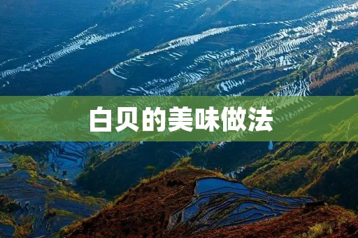 白贝的美味做法 白贝的美味做法