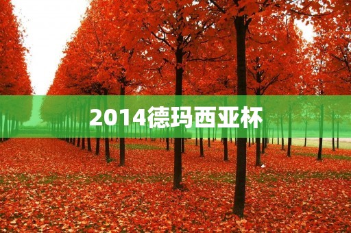 2014德玛西亚杯：英雄联盟电竞史上的一次盛会