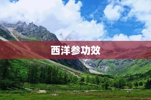 西洋参功效:提高免疫力,滋补养生的佳品 西洋参功效:提高免疫力,滋补养生的佳品