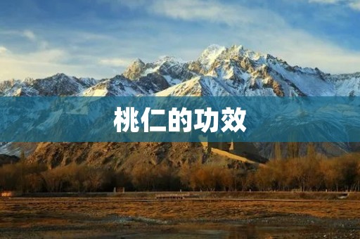 桃仁的功效 桃仁的功效