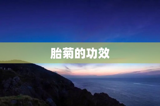 胎菊的功效：预防癌症、降低血压、增强免疫力