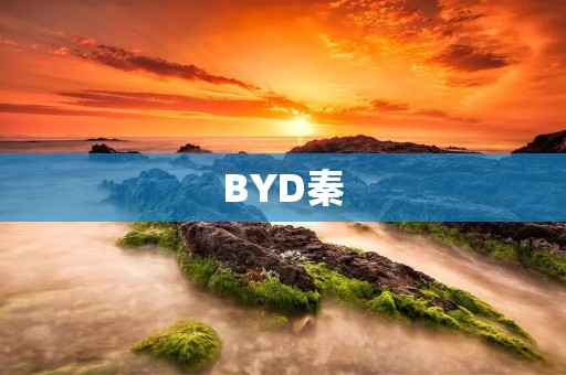 BYD秦：跨越时代的智能豪华轿车