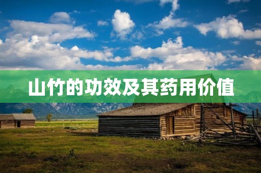 山竹的功效及其药用价值
