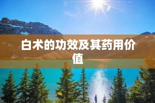 白术的功效及其药用价值 白术的功效及其药用价值