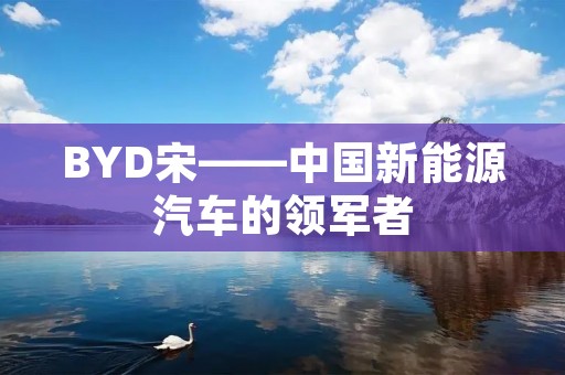 BYD宋——中国新能源汽车的领军者 BYD宋——中国新能源汽车的领军者