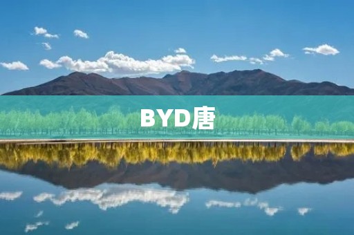 BYD唐:中国新能源汽车的明星之一 BYD唐:中国新能源汽车的明星之一