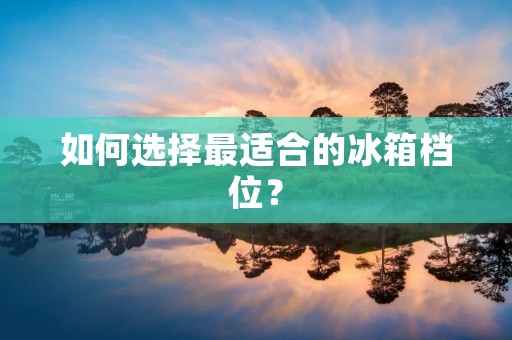 如何选择最适合的冰箱档位？