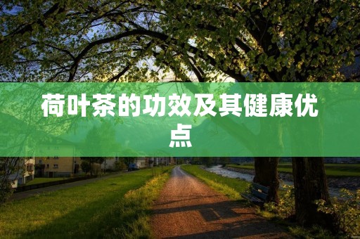 荷叶茶的功效及其健康优点 荷叶茶的功效及其健康优点