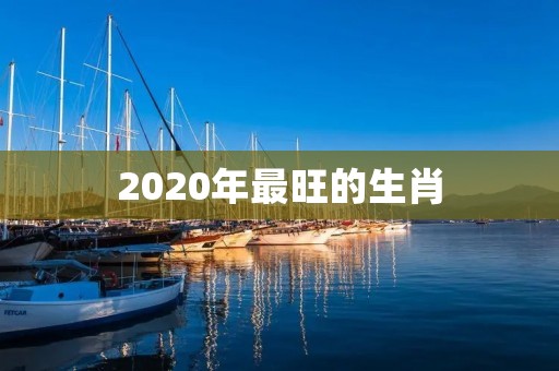 2020年最旺的生肖:鼠 2020年最旺的生肖:鼠