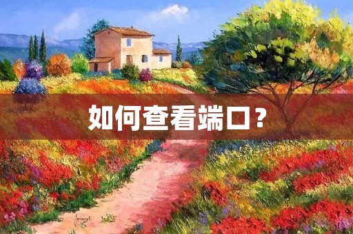 如何查看端口? 如何查看端口?