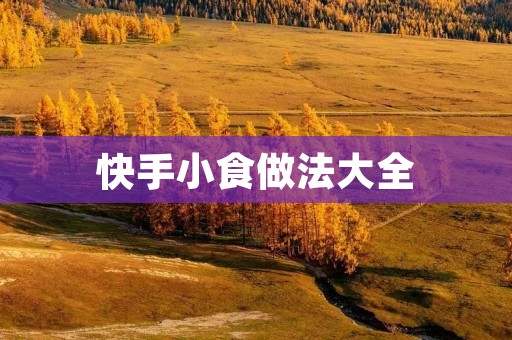快手小食做法大全