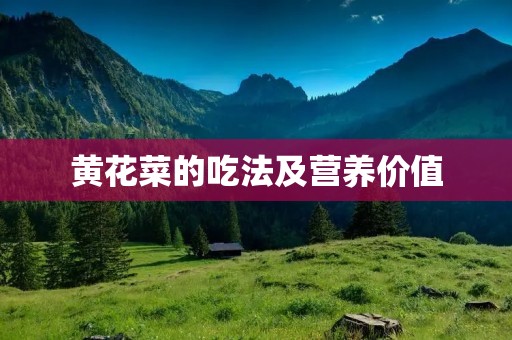 黄花菜的吃法及营养价值