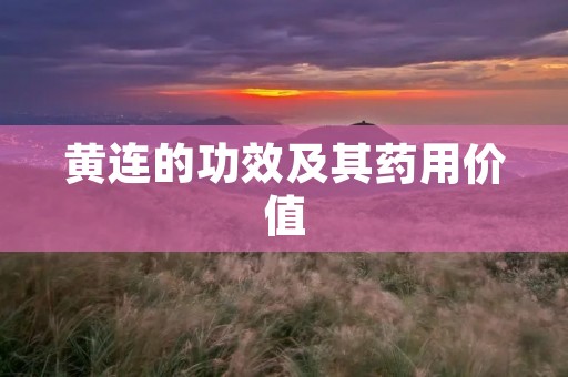 黄连的功效及其药用价值 黄连的功效及其药用价值