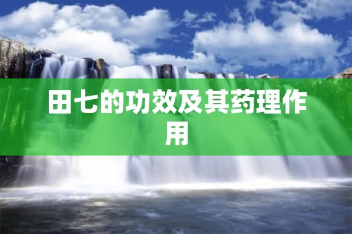 田七的功效及其药理作用 田七的功效及其药理作用