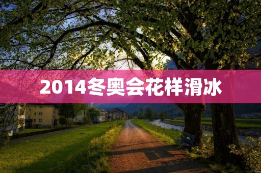 2014冬奥会花样滑冰:冰上的艺术盛宴 2014冬奥会花样滑冰:冰上的艺术盛宴