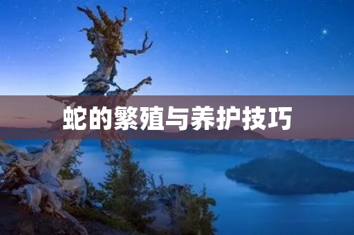 蛇的繁殖与养护技巧