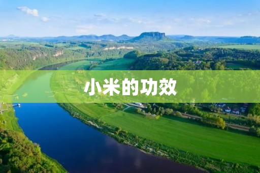 小米的功效：小粒食物，大健康